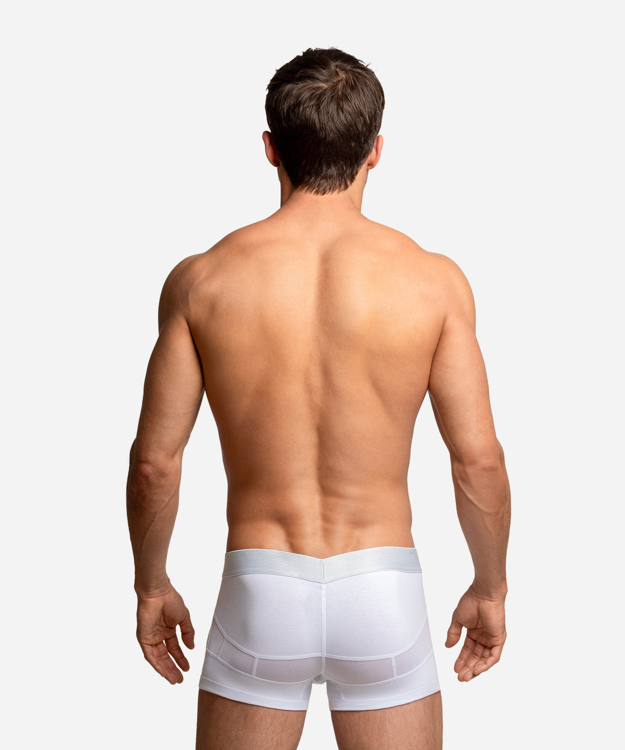 Anatomic Trunk