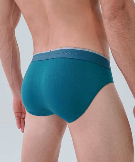 Essentials Modal Brief