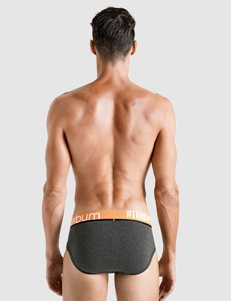 Daily Package Brief